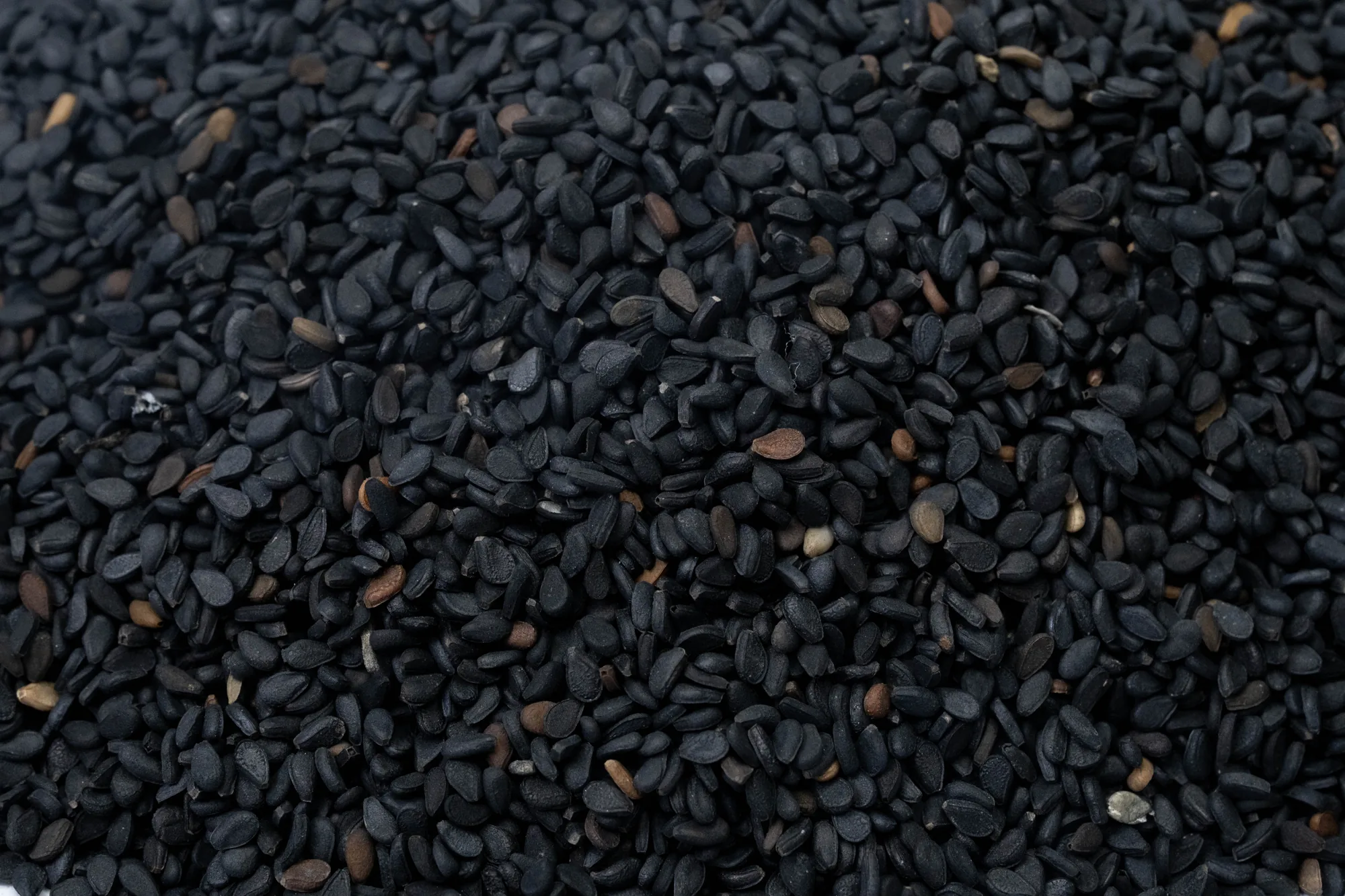 Macro view of double-skin black sesame seeds, uniform grade