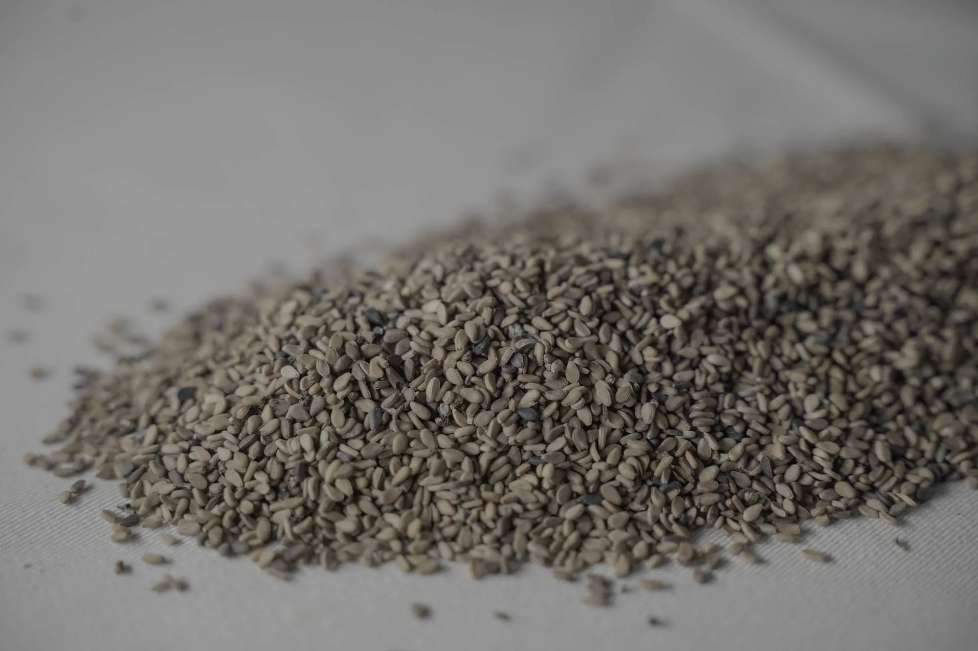 Conical pile of husked single-skin white sesame seeds in soft daylight